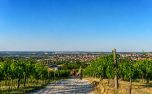 pozadina pocetna nova